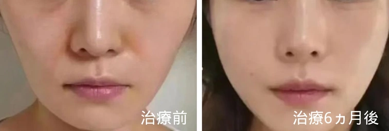 你的段落文字